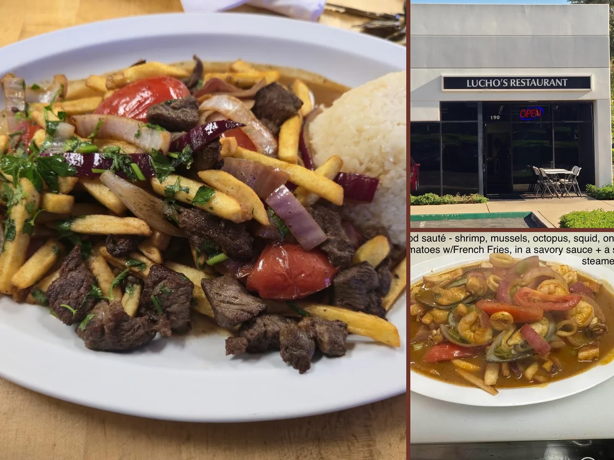 Colorful entrées with rice, plantains, and sauce.